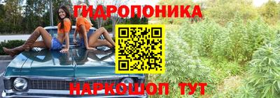 амф Владимир