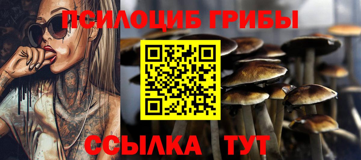 Галлюциногенные грибы GOLDEN TEACHER  Галлюциногенные грибы мицелий  Гулькевичи  Вход с VPN 